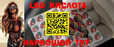прущий лед Будённовск