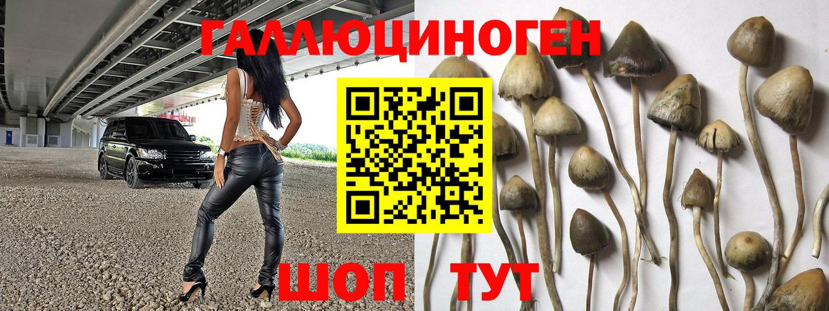 Галлюциногенные грибы прущие грибы  Псилоцибиновые грибы MAGIC MUSHROOMS  Полысаево  Вход с VPN 