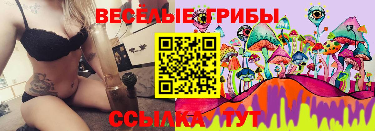 Галлюциногенные грибы GOLDEN TEACHER Полысаево